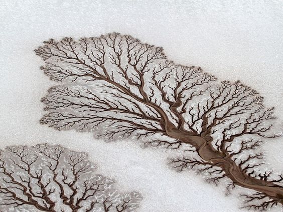 By Adriana Franco. Fotografía aérea de los ríos secos que se encuentran en Baja California, México